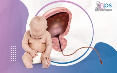 شكل الإحليل السفلي عند الأطفال